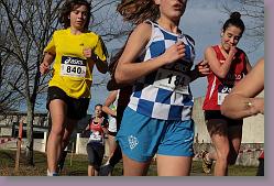 Begles 15.12.13 01 525 * 679 x 453 * (144KB)